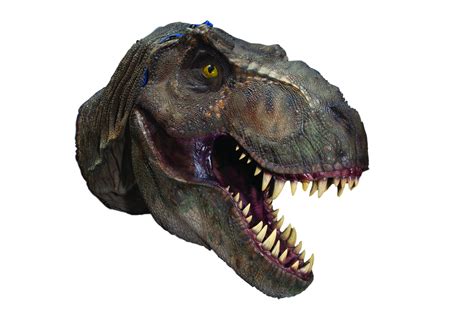 T. rex Head (Jurassic Park Movie) for sale on Luxify png image