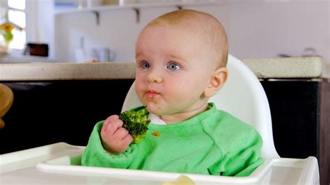 Baby Led Weaning Basics Bombofoods