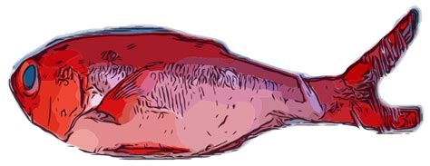 Red Fish Openclipart