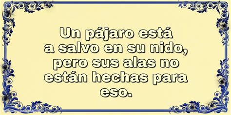 Felicitaciones De Familia Un P Jaro Est A Salvo En Su Nido