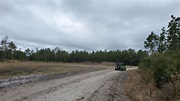 Tiger Bay State Forest - Danny Hole Road - Florida Offroad Trail