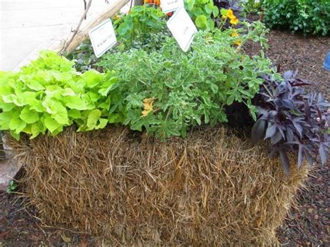 Straw Bale Planter Gardeningyard Decor Pinterest