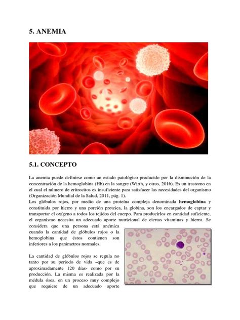 La Anemia Pdf Tejido Biología Especialidades Medicas