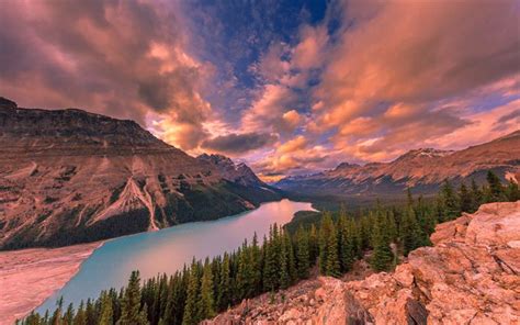 Download Wallpapers Peyto Lake Sunset Forest Mountains North
