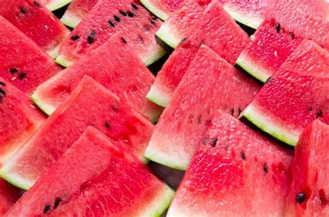 Can Cows Eat Watermelon Toxic Or Healthy