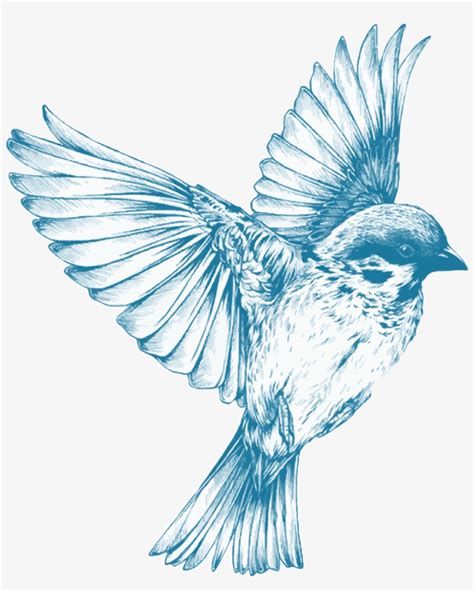 Blue Bird Flying Drawing At Getdrawings Blue Bird Flying Drawing Png