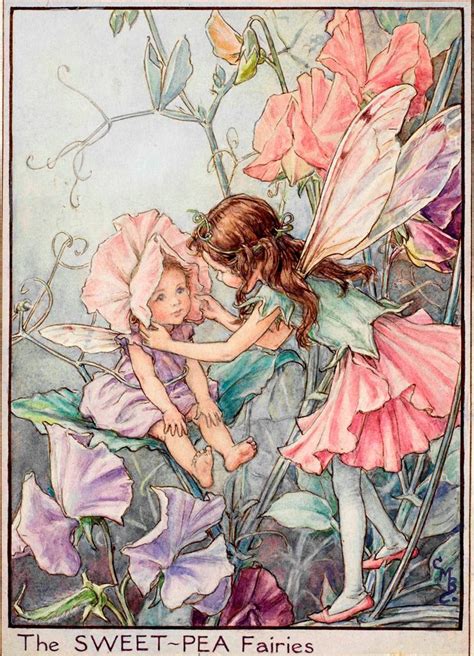 The Sweet Pea Fairies Flower Fairies