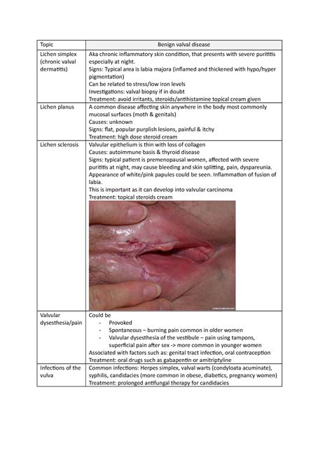 Vulval Diseases Topic Lichen Simplex Chronic Valval Dermatitis