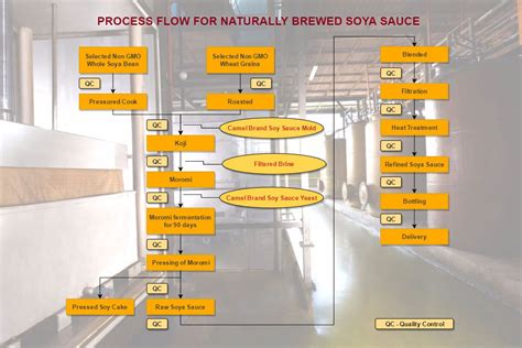 Soy Sauce Process Double Camel Soy Sauce