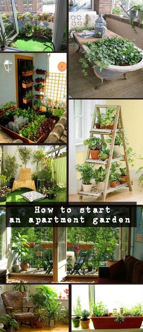 How To Start An Apartment Garden Tips And Tricks Balcony Herb Gardens