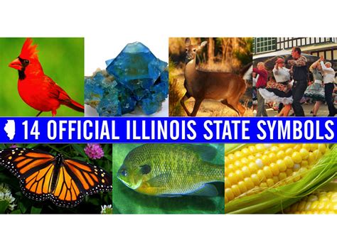 Did You Know These Are The 14 Official State Symbols In Illinois
