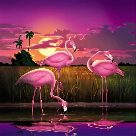 Pink Flamingos At Sunset Tropical Landscape Square Format Digital Art