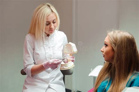 female dentist talking to patient showing dental jaw model in d stock image image of medicine