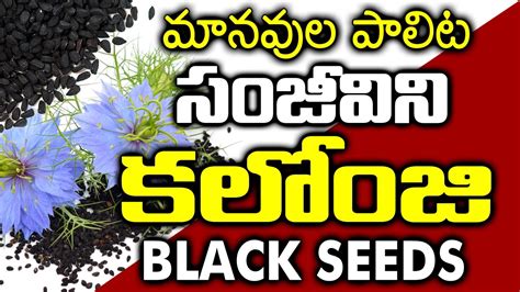 Health Benefits of Black Seeds II బ్లాక్ సీడ్స్ ఉపయోగాలు II Kalonji ...