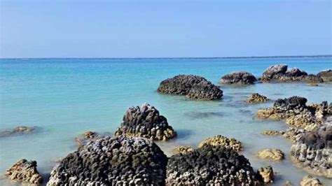 We did not find results for: 11 Tempat Wisata Kepulauan Nias Terindah - Tokopedia Blog