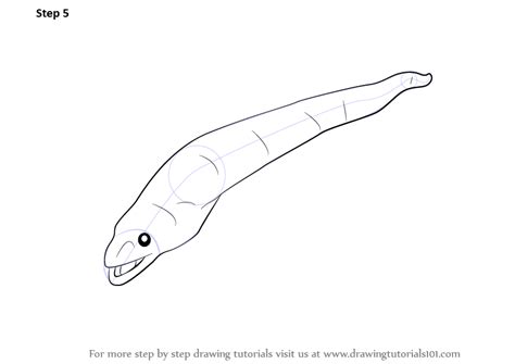 How To Draw An Eel Fishes Step By Step