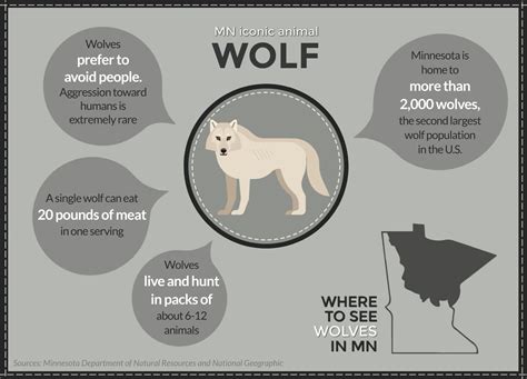 A Field Guide To Minnesotas Iconic Animals Mpr News