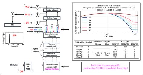 Auditory Model Individualization The Block Diagram On The Left Depicts