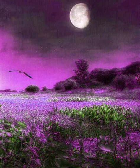 Pin By Flo Williams On All Things Purple Beautiful Photos Of Nature