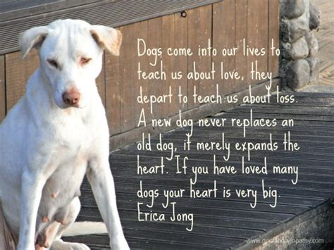 Dog Sympathy Cards With Moving Messages And Quotes