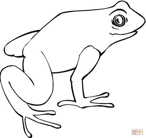 Realistic Frog Coloring Pages Free Download On Clipartmag