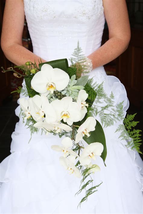 This diy video will demonstrate how to make a cascading floral wedding bridal bouquet with phalaenopsis orchids. Phalaenopsis trailing bouquet interesting white orchid ...