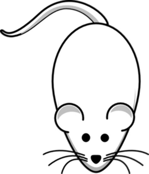 Download High Quality Rat Clipart White Transparent Png Images Art