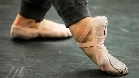 Photo Gallery Harvard Ballet Company Dancers Stretch Creativity