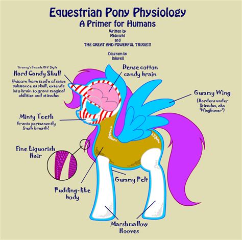 Pony Physiology Rmylittlepony