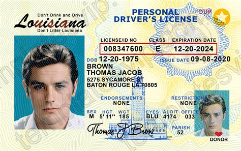Louisiana La Drivers License Psd Template Download Templates