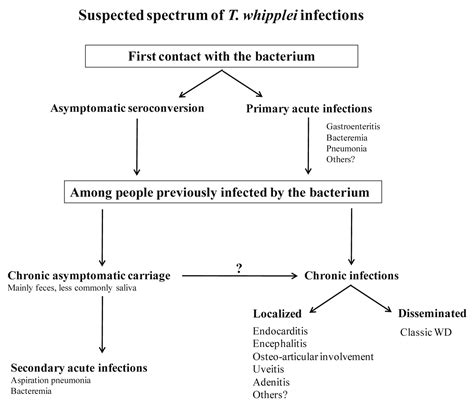 Tropheryma Whipplei And Whipples Disease Journal Of Infection
