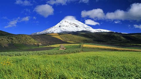 Mount Fuji Hd Wallpaper Background Image 1920x1080 Id488589