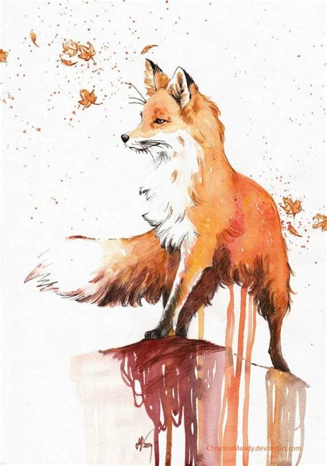 Resultado De Imagem Para Watercolor Fox Raposa Aquarela Desenho De