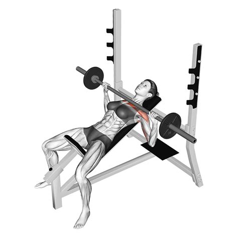 Incline Dumbbell Press Alternatives With Pictures Inspire Us