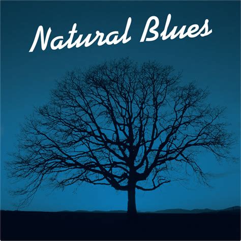 Natural Blues Naturescapes Music Relax Tv