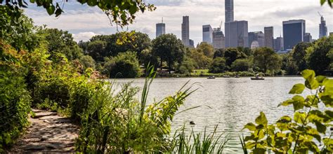 The Lake Central Park Conservancy