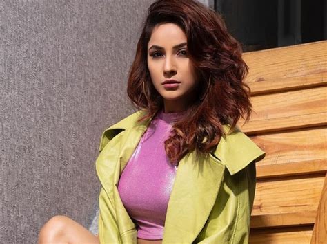 Bigg Boss 13 Fame Shehnaaz Gill Redefines Hotness In White Shorts And Pink Shimmery Crop Top