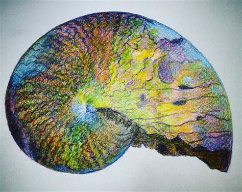 Excited To Share The Latest Addition To My Etsy Shop Fossil Ammonite