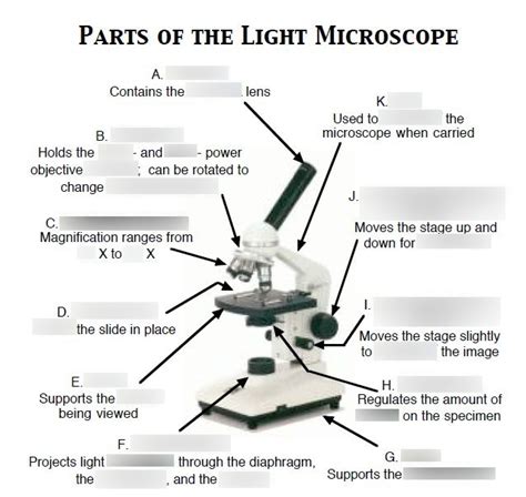 Basic Microscope Diagram Ks3 Micropedia 031