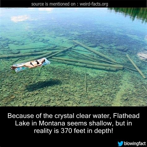 Weird Facts — Because Of The Crystal Clear Water Flathead Lake