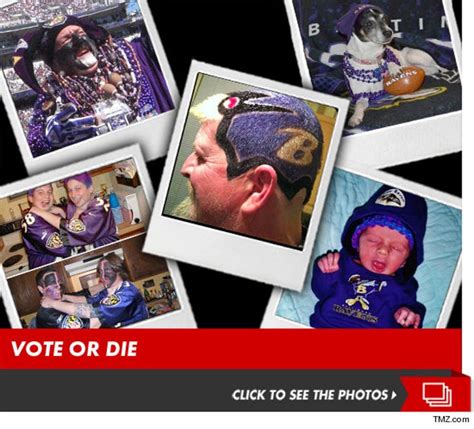 tmz s 49ers vs ravens fan photo contest the final 5