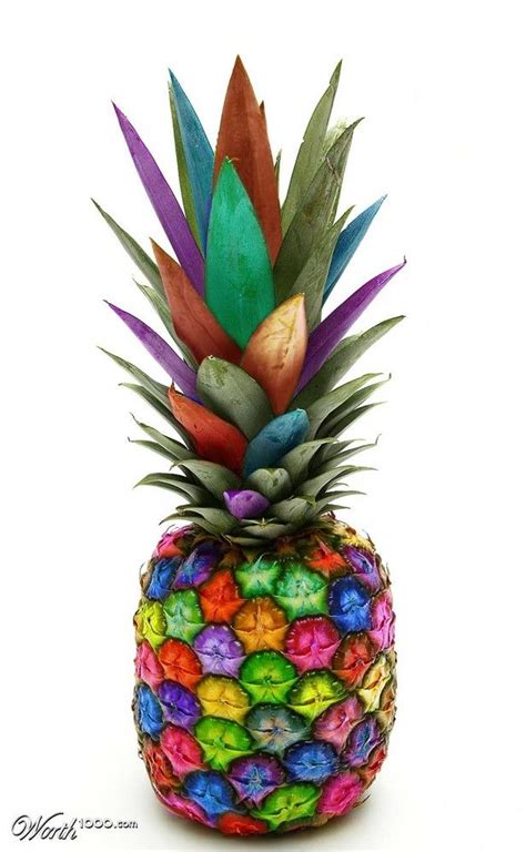 Rainbow Pineapple Colorful Pinterest Rainbows Photoshop And Symbols
