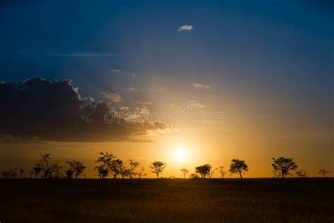 Sunset Over The African Savannah Stock Photo Image Of Misty Savannah