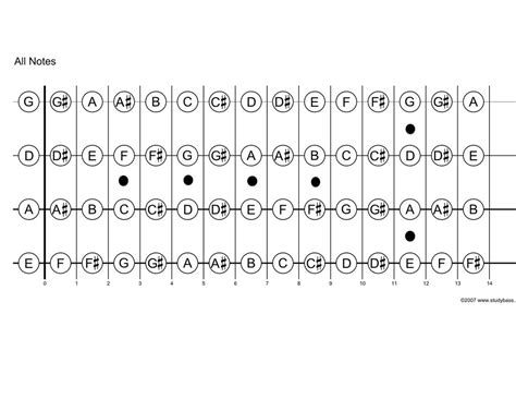 Printable Fretboard Diagram Basslessons Hot Sex Picture