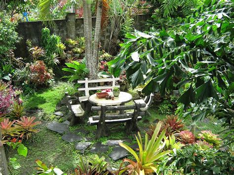 Best Trees For Small Gardens Philippines Garden Plant