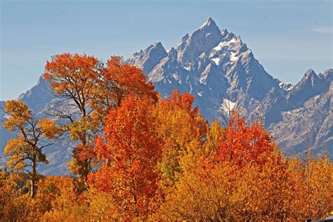Why Fall Is Breathtaking In Yellowstone And Grand Teton Parks Montana