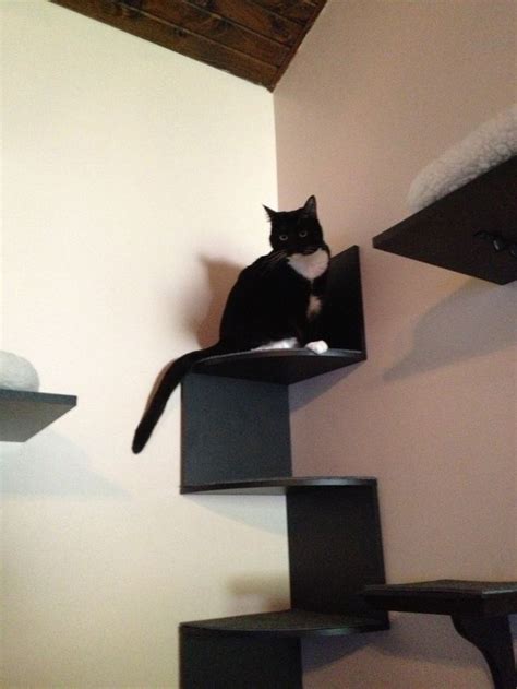 This cat wall stair is no style faux paw! 14 best Cat wall steps images on Pinterest | Cat shelves ...