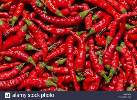 Sale Red Chilli Pepper In Stock