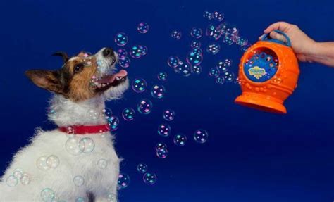 Dog Bubbletastic Bubble Machine Best