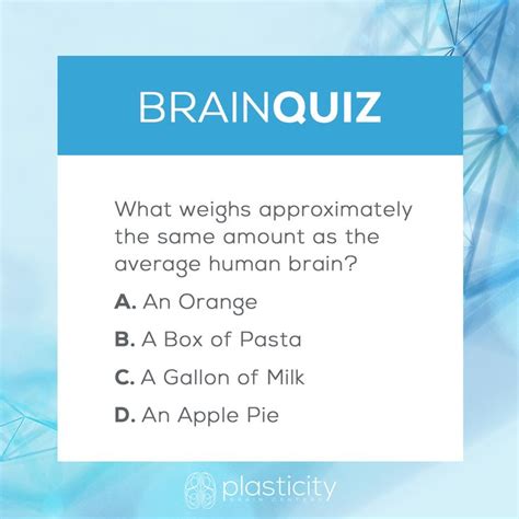 Brain Quiz Brain Quiz Human Brain Brain Games
